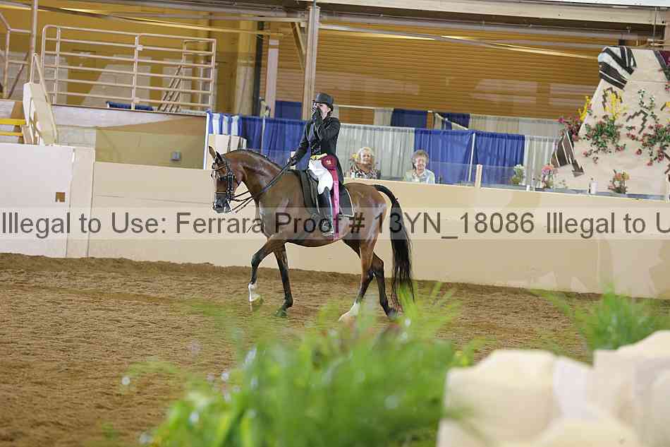 Proof Number 13yn_18086