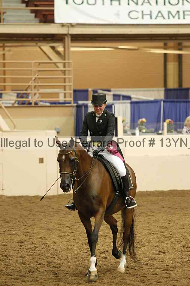 Proof Number 13yn_18093