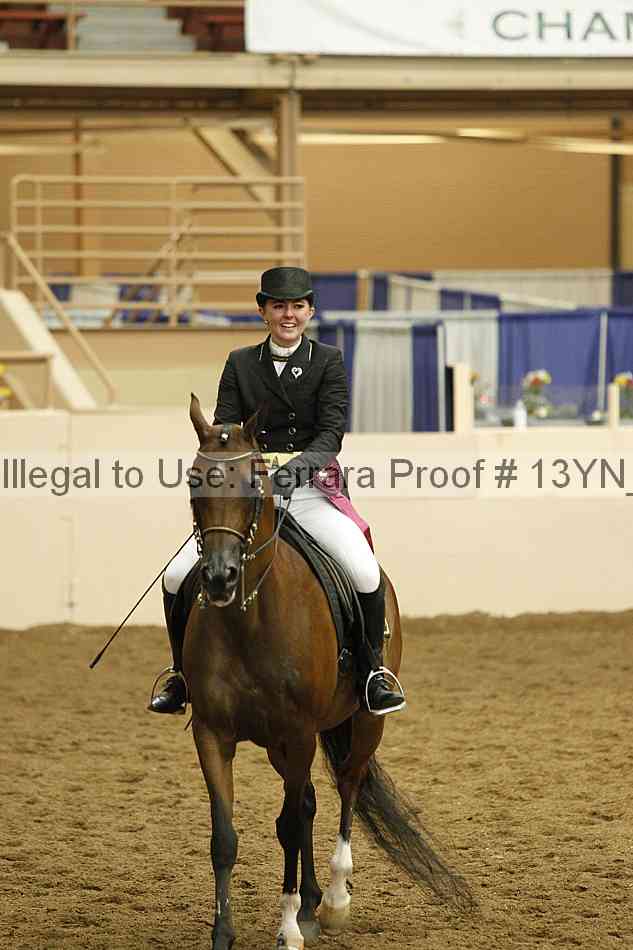 Proof Number 13yn_18094