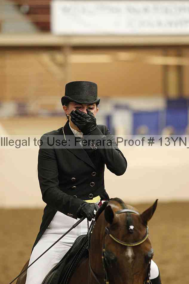 Proof Number 13yn_18097