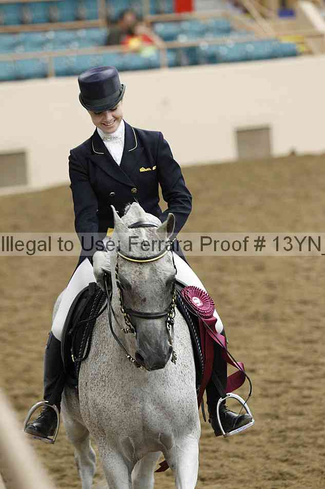 Proof Number 13yn_18123