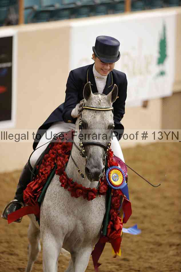 Proof Number 13yn_18186