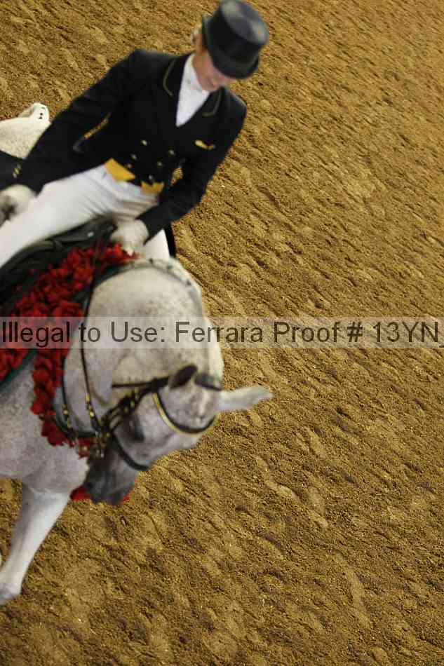 Proof Number 13yn_18188