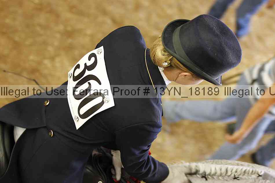 Proof Number 13yn_18189
