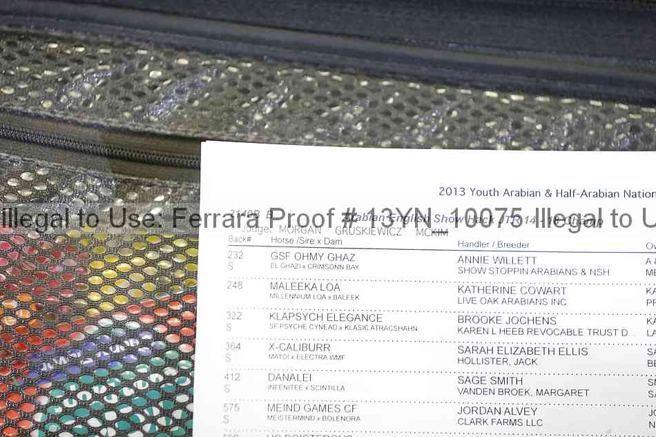 Proof Number 13yn_10075
