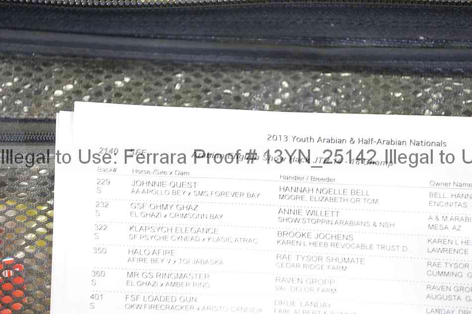 Proof Number 13yn_25142
