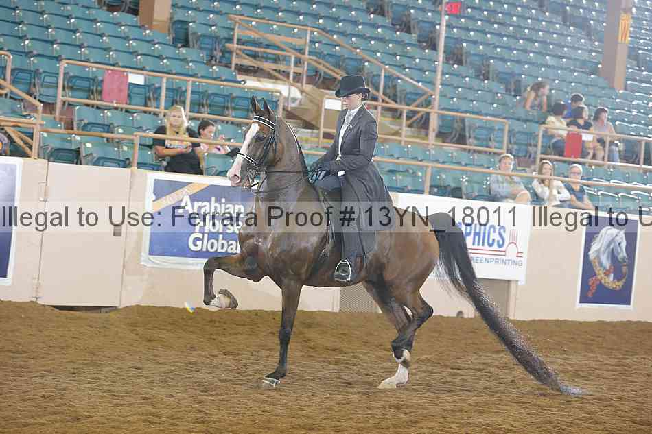 Proof Number 13yn_18011
