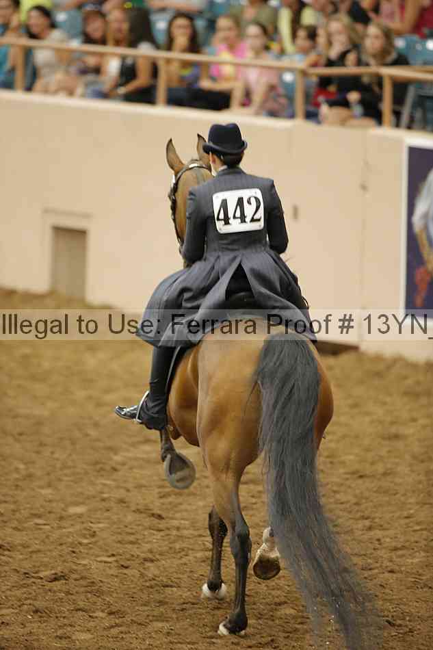 Proof Number 13yn_15065