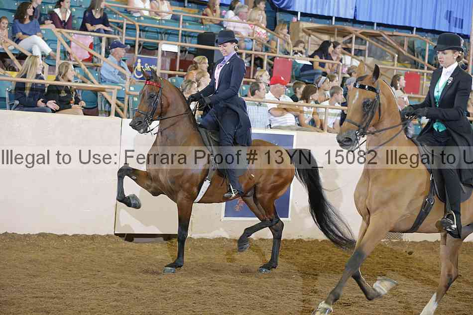 Proof Number 13yn_15082