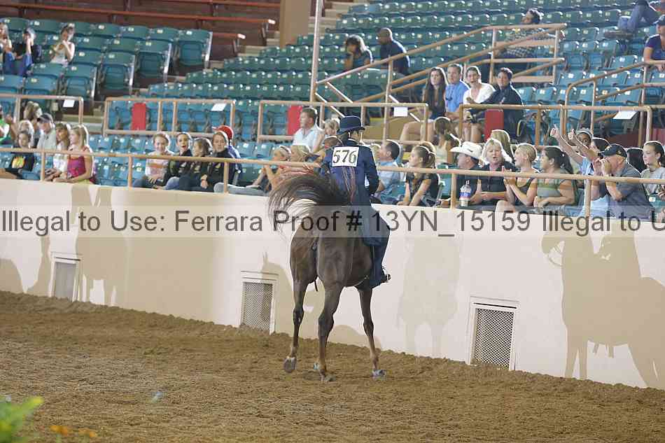 Proof Number 13yn_15159
