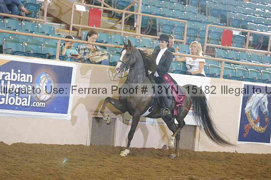 Proof Number 13yn_15182