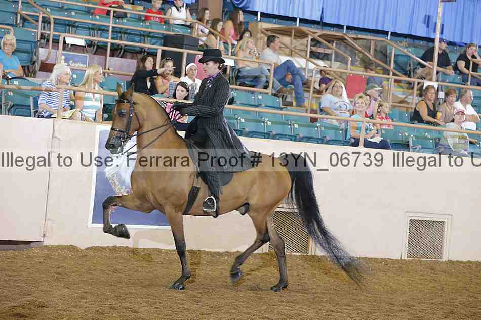 Proof Number 13yn_06739