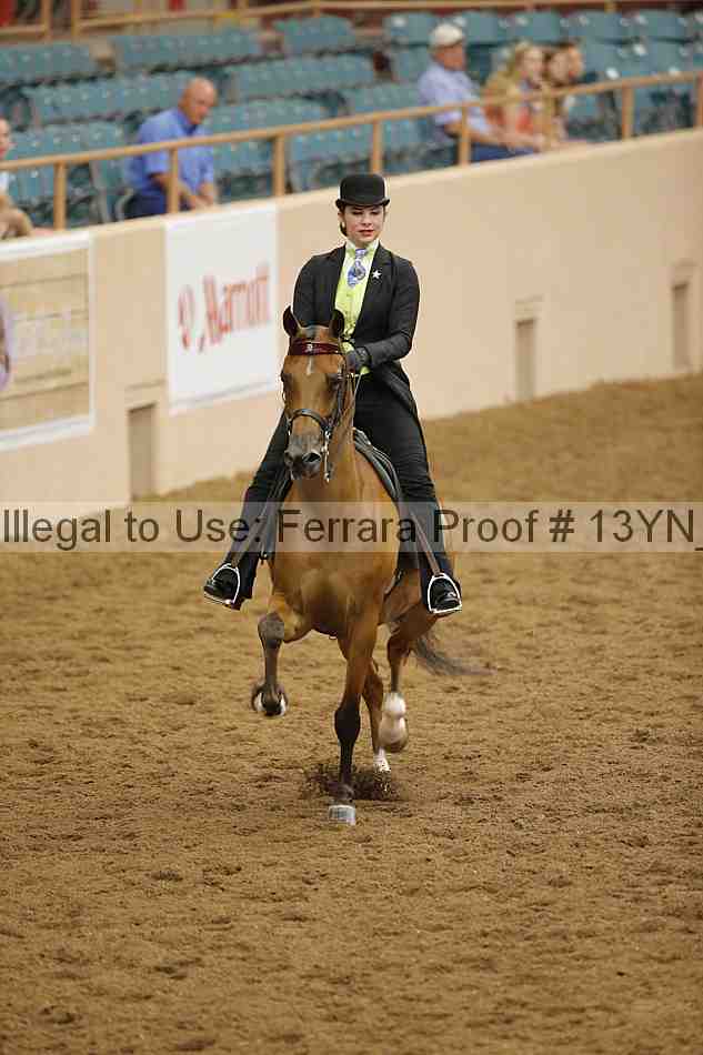 Proof Number 13yn_06805