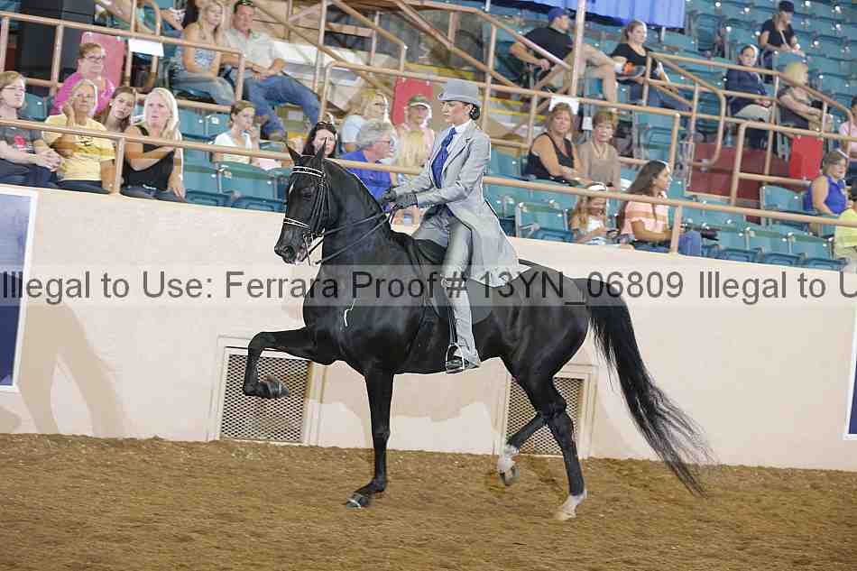 Proof Number 13yn_06809
