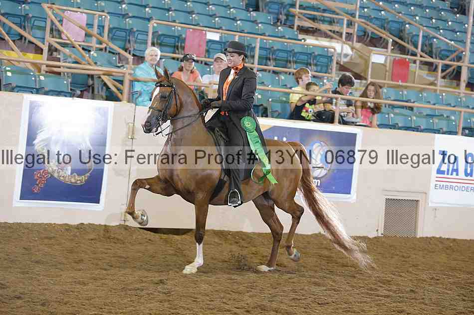 Proof Number 13yn_06879