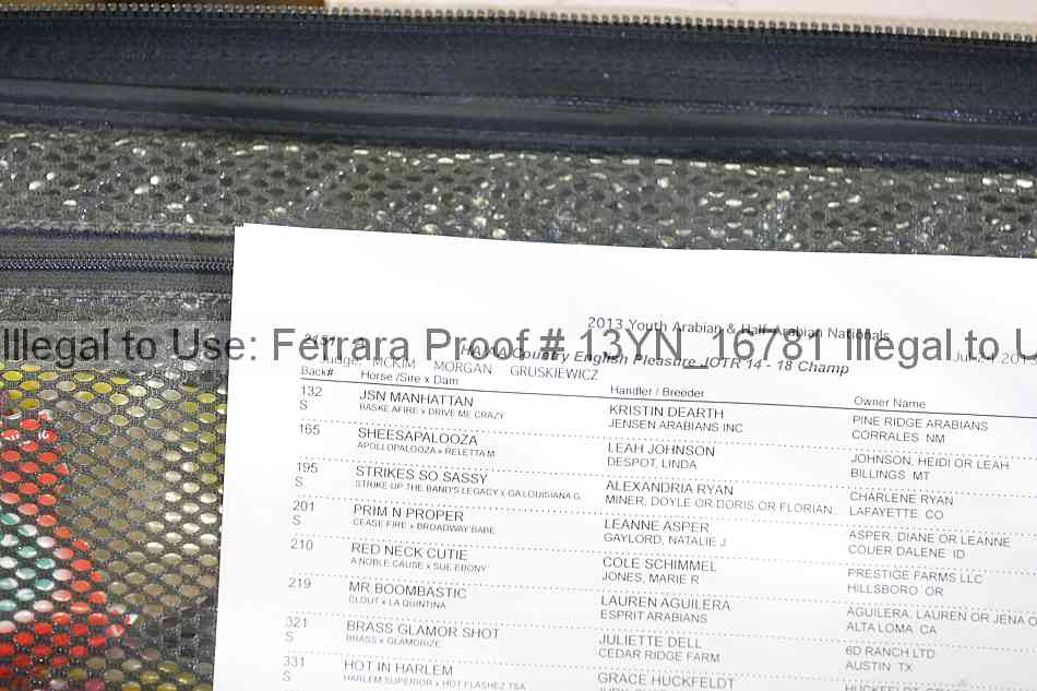 Proof Number 13yn_16781