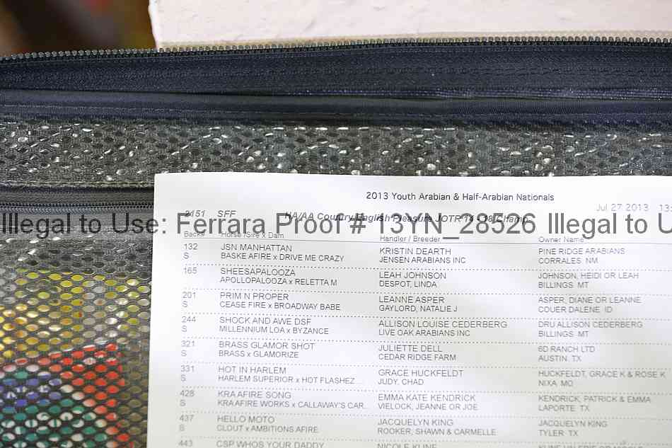 Proof Number 13yn_28526