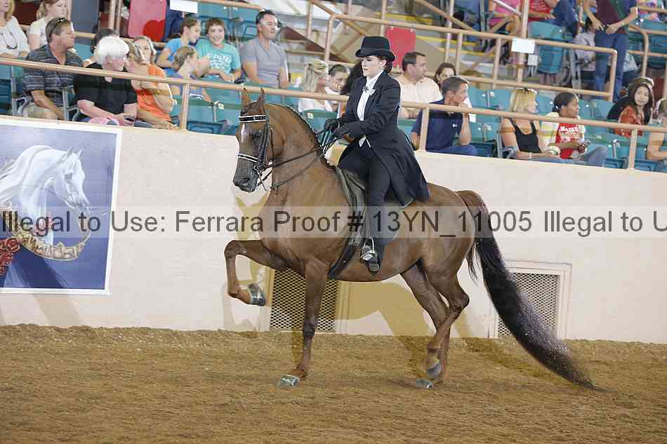 Proof Number 13yn_11005