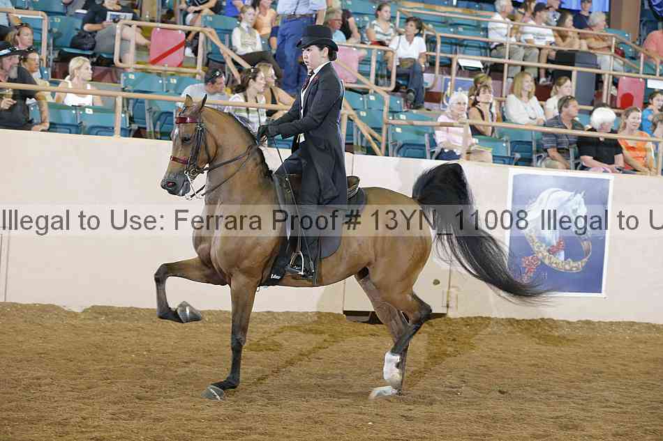 Proof Number 13yn_11008