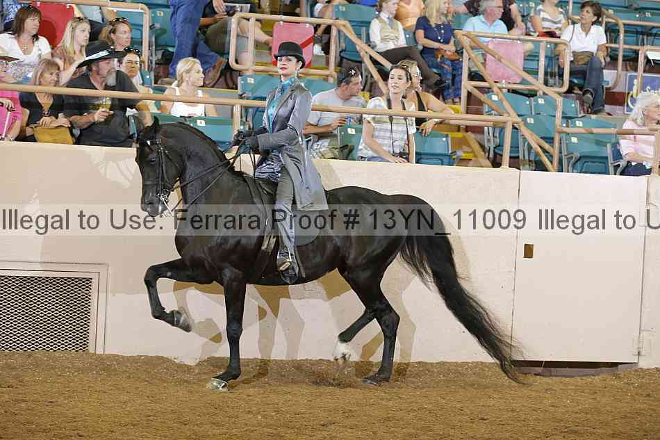 Proof Number 13yn_11009