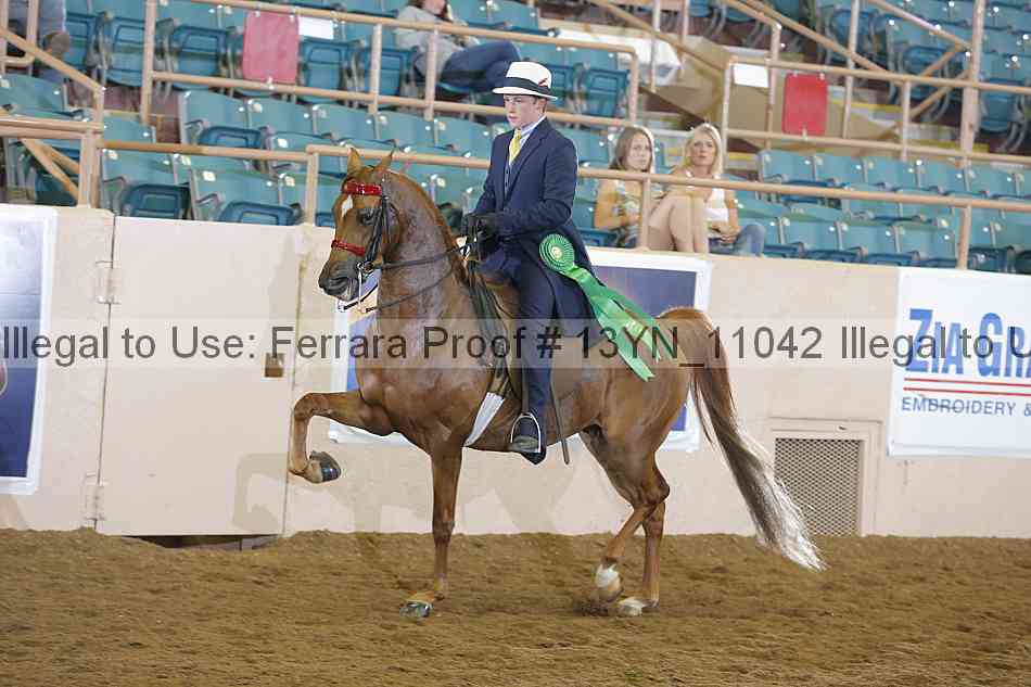 Proof Number 13yn_11042