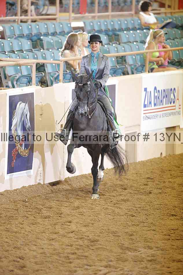 Proof Number 13yn_11057
