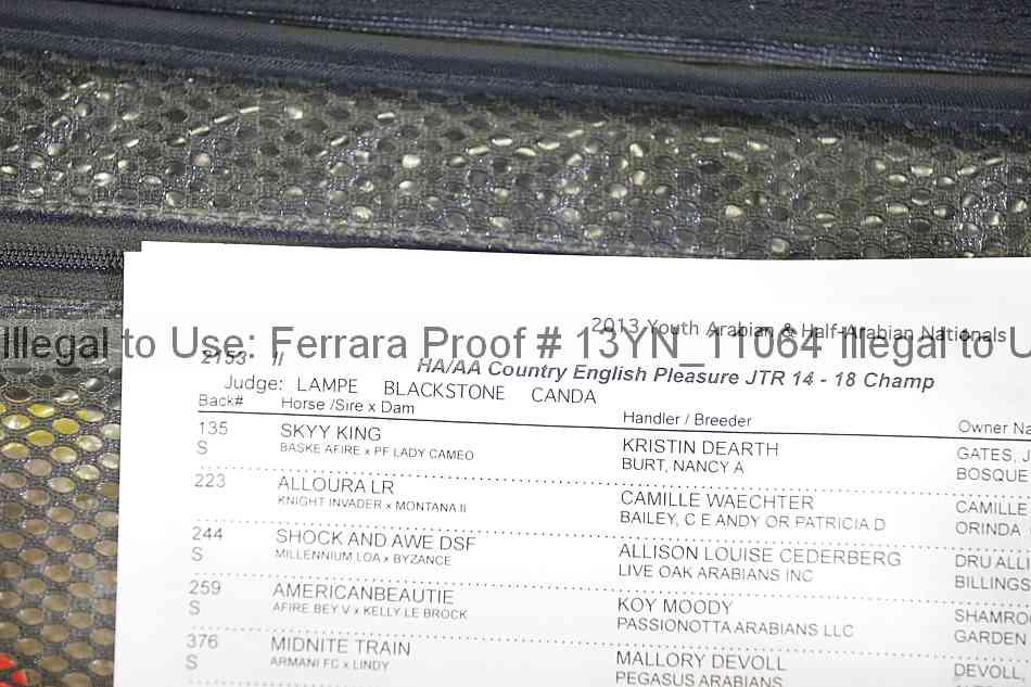 Proof Number 13yn_11064