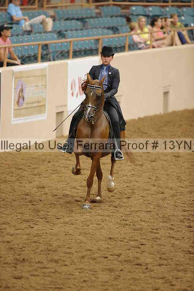Proof Number 13yn_11069