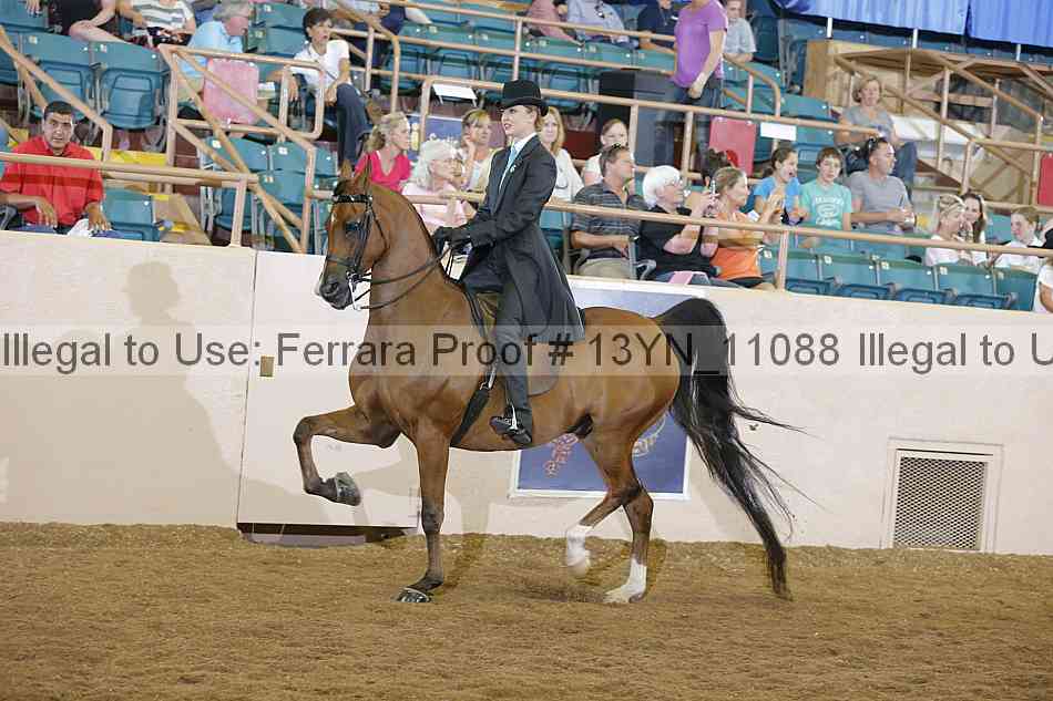 Proof Number 13yn_11088