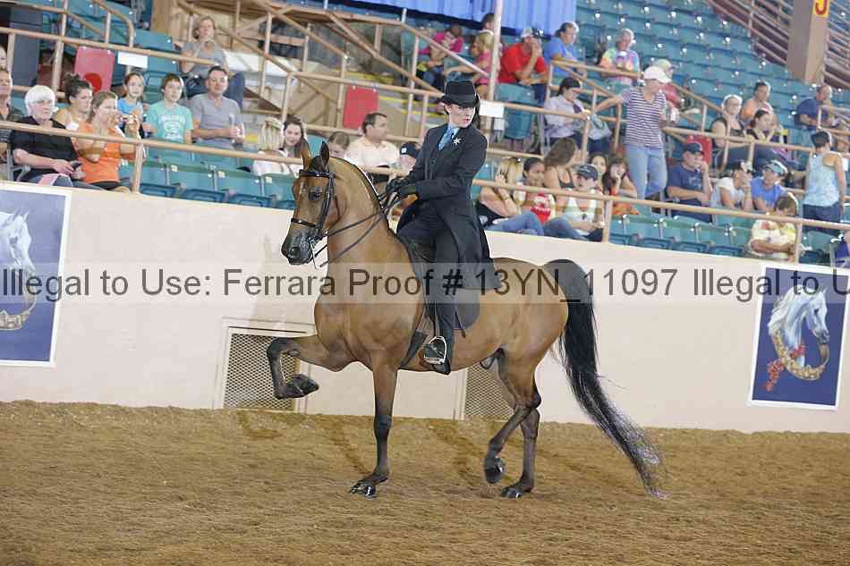 Proof Number 13yn_11097
