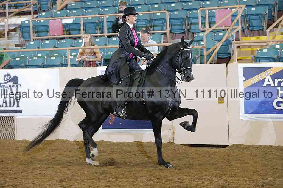 Proof Number 13yn_11110