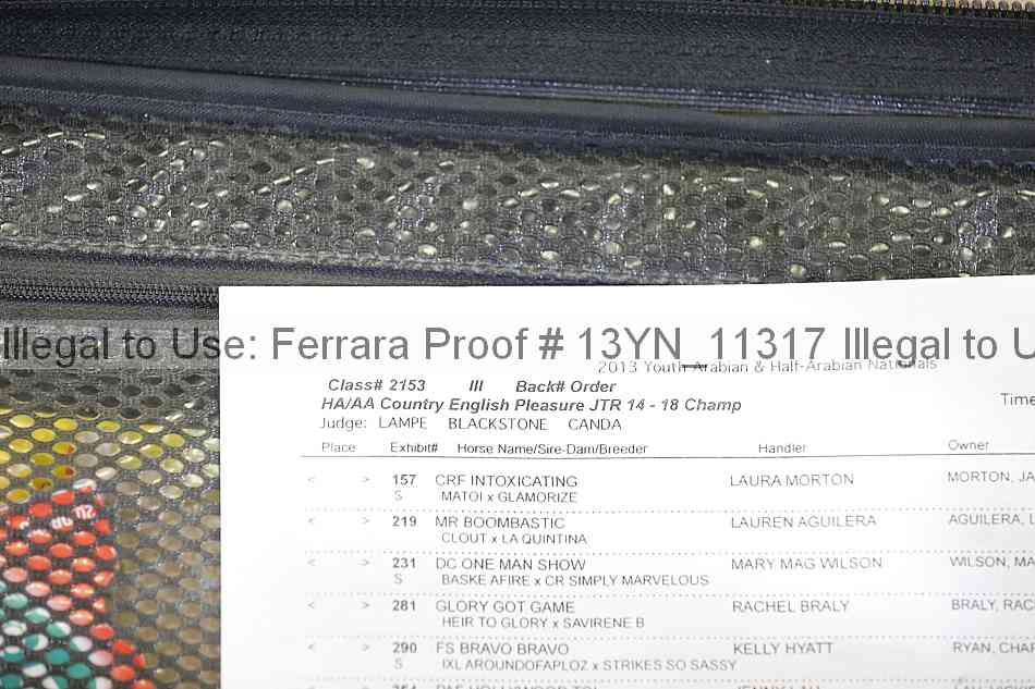 Proof Number 13yn_11317