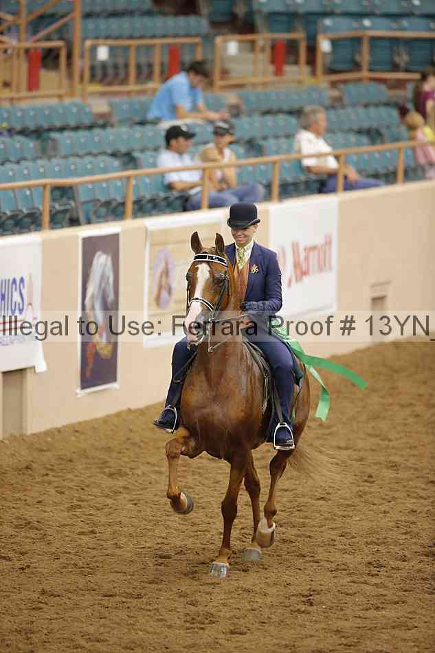Proof Number 13yn_11402