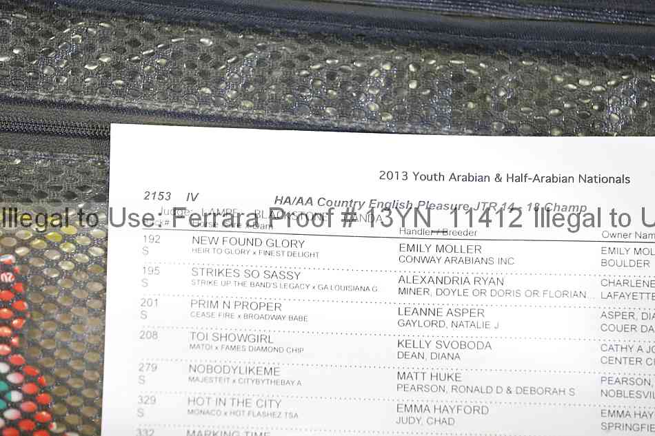 Proof Number 13yn_11412