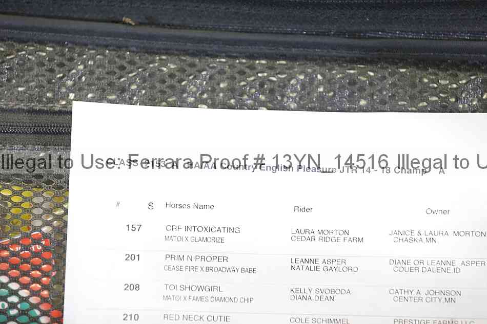 Proof Number 13yn_14516