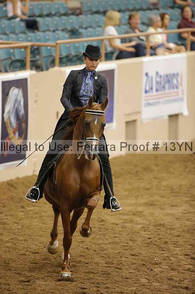 Proof Number 13yn_14527