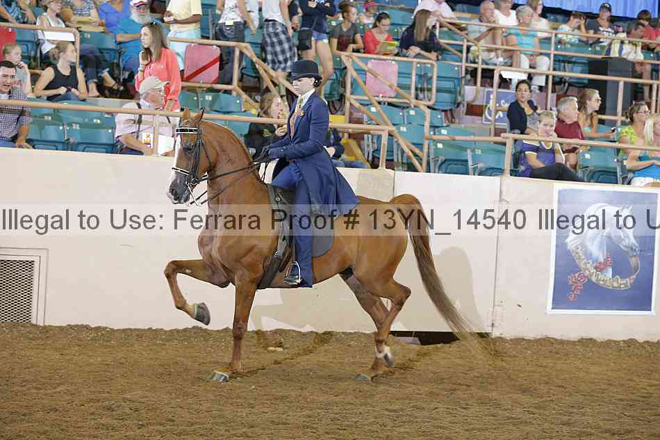 Proof Number 13yn_14540