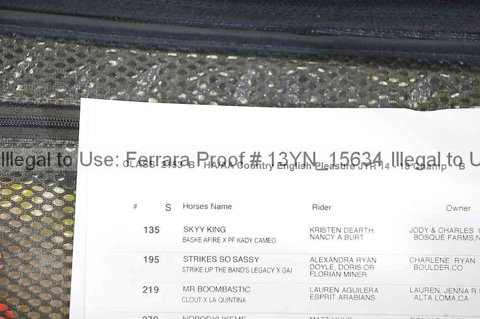 Proof Number 13yn_15634