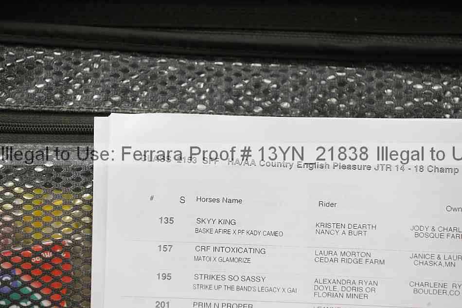 Proof Number 13yn_21838