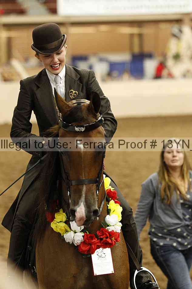 Proof Number 13yn_21904