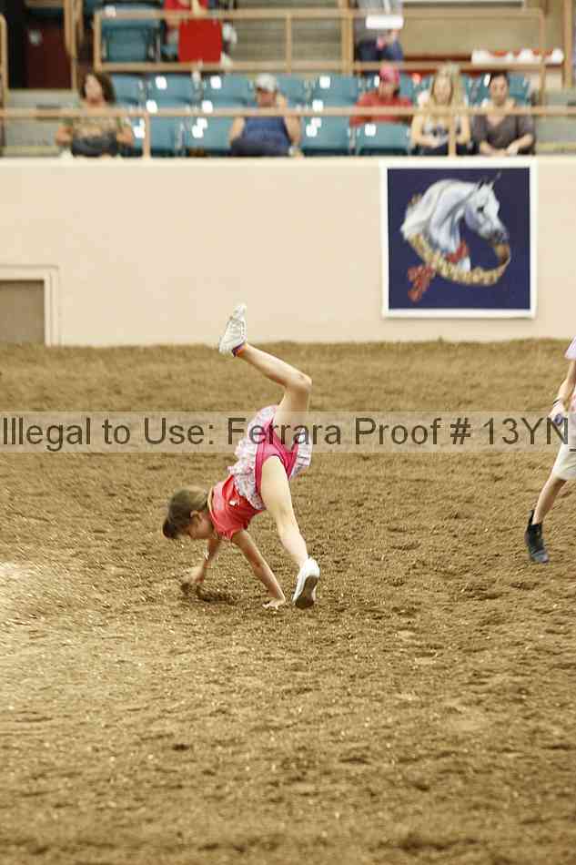 Proof Number 13yn_21918
