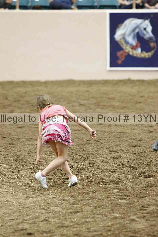 Proof Number 13yn_21919