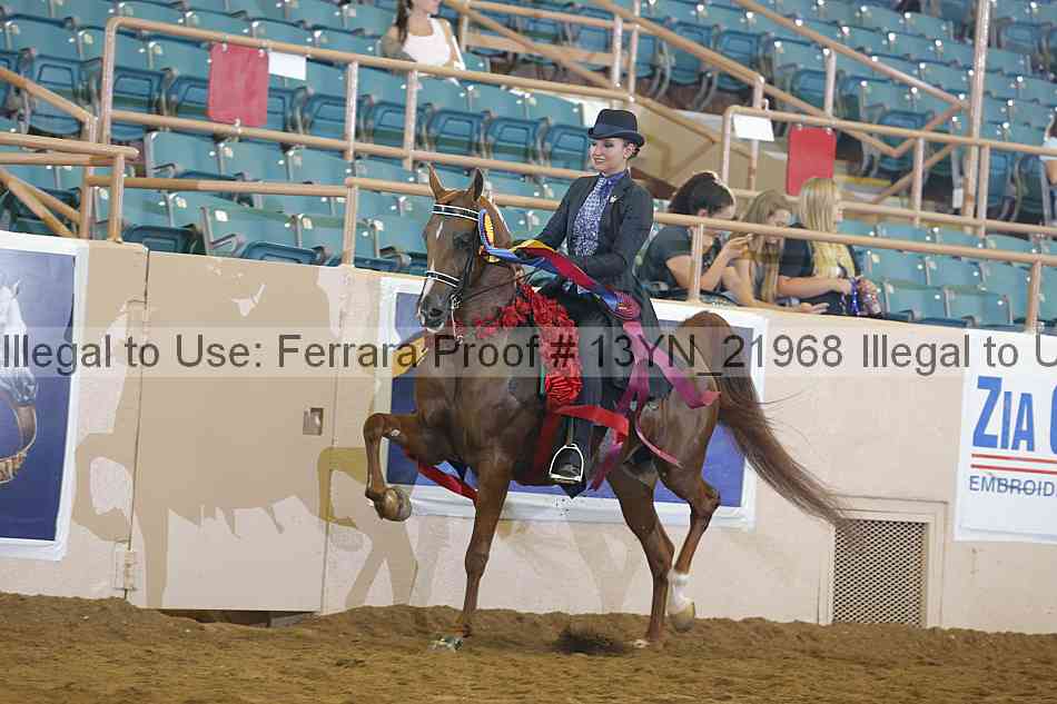 Proof Number 13yn_21968