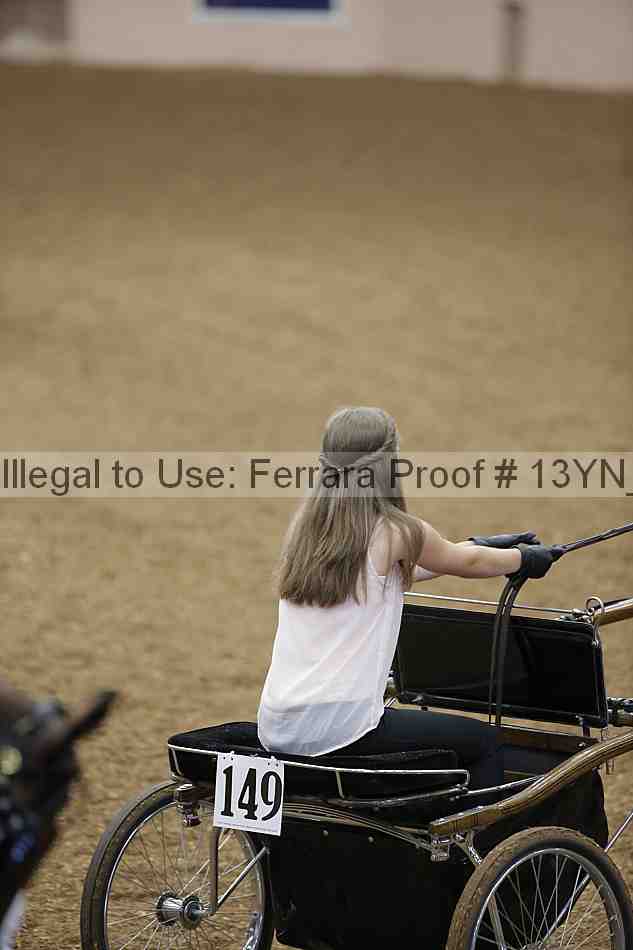 Proof Number 13yn_01130