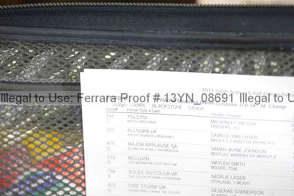 Proof Number 13yn_08691