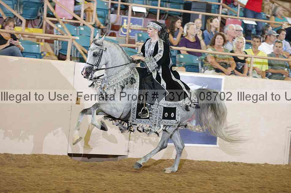 Proof Number 13yn_08702