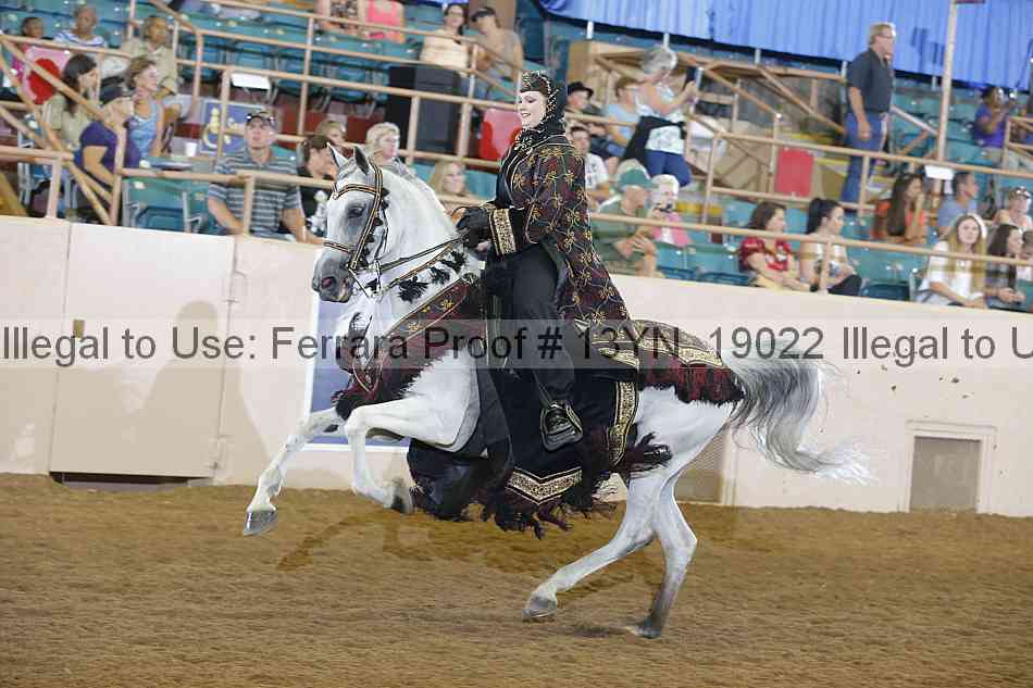 Proof Number 13yn_19022