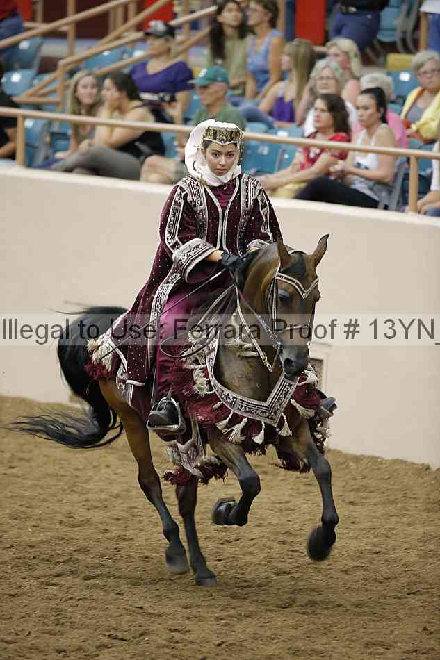 Proof Number 13yn_19029