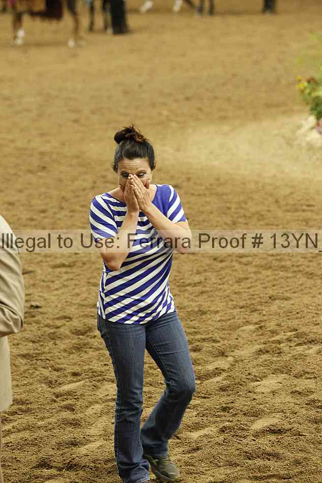 Proof Number 13yn_19088