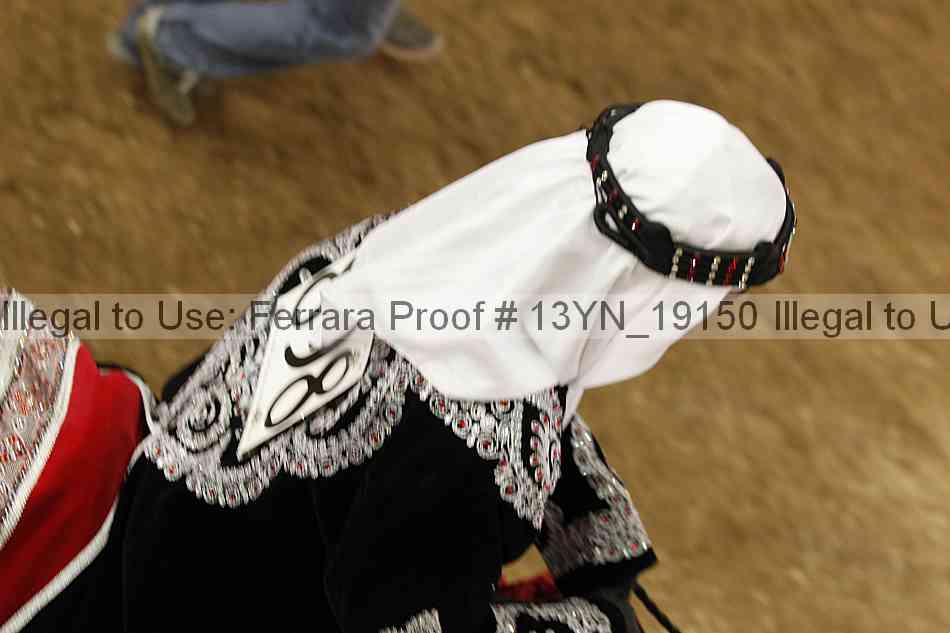 Proof Number 13yn_19150